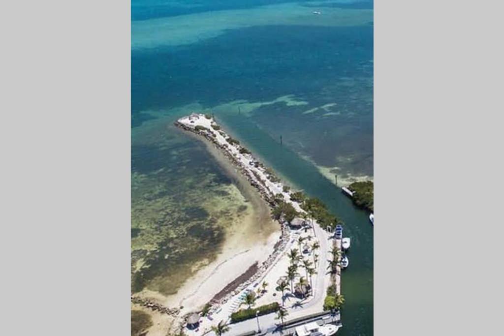 Licensed Mgr - 2/2 Villa - Oceanfront Beach Resort - Saltwater Lagoon & Marina! 基拉戈 外观 照片